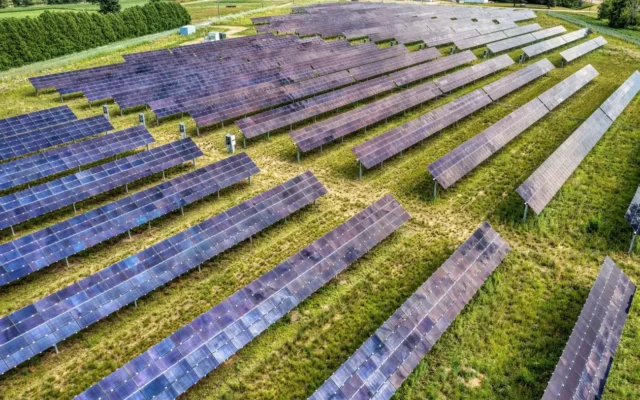 Rânduri de panouri fotovoltaice pe un teren cu iarbă